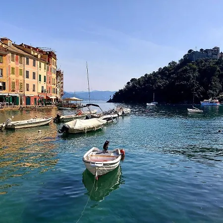 My In * 波托菲诺